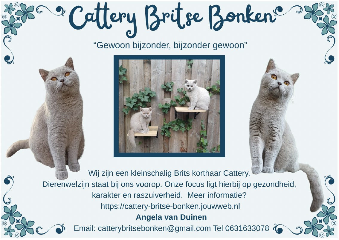 Cattery Britse Bonken